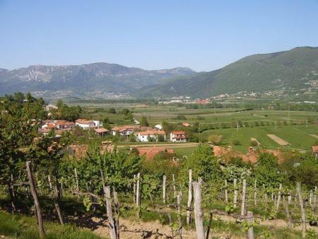 346589Kmetija z nastanitvijo Pilih